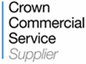 ccs supplier logo blue 300dpi email