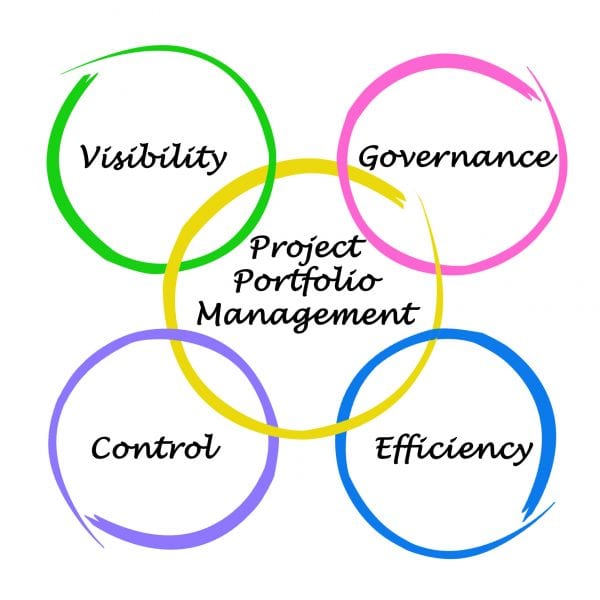 Project Portfolio Management R-PPM